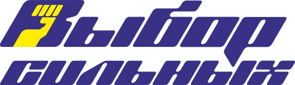 logo vs16.ru